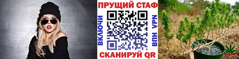 Магазины продажи наркотиков Баймак Кокаин  Канабис  Псилоцибиновые грибы  ГАШ  МЕФ 
