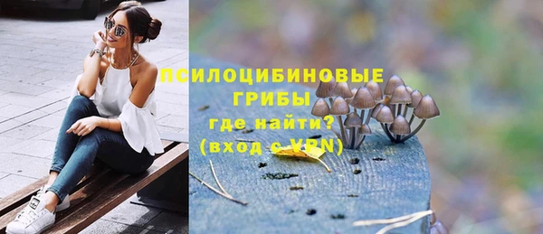 спайс Аркадак